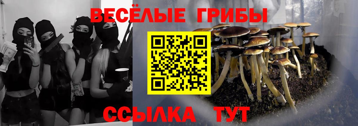 Галлюциногенные грибы Cubensis Кизилюрт